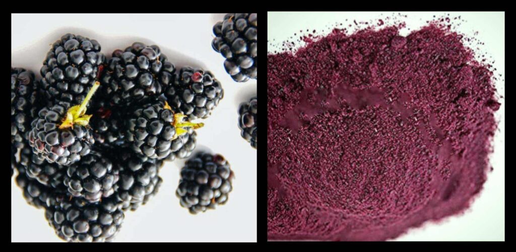 Fruit Pigmented DIY Lipstick From Blackberry